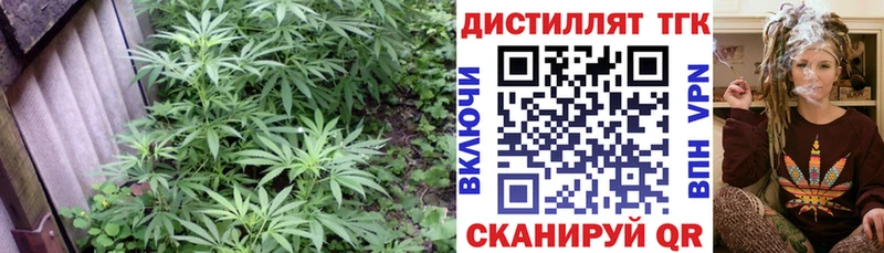 гидра   Нефтекумск  ТГК Wax 